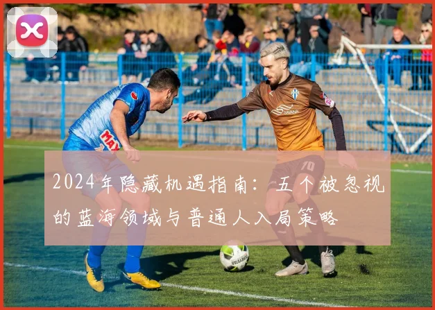 2024年隐藏机遇指南:五个被忽视的蓝海领域与普通人入局策略