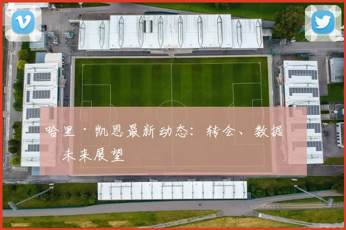 哈里·凯恩最新动态:转会、数据与未来展望